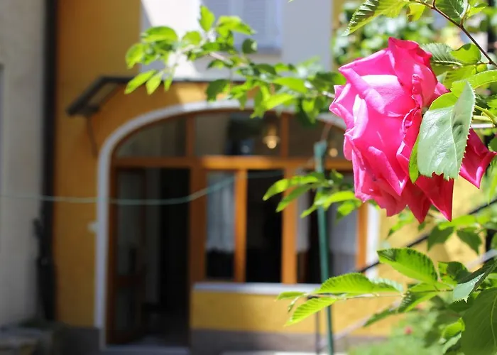 Rose By Quokka 360 - Refined Two-bedroom With Garden * Lugano