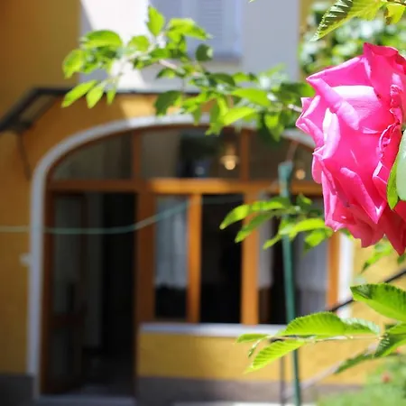 Rose By Quokka 360 - Refined Two-bedroom With Garden * Lugano